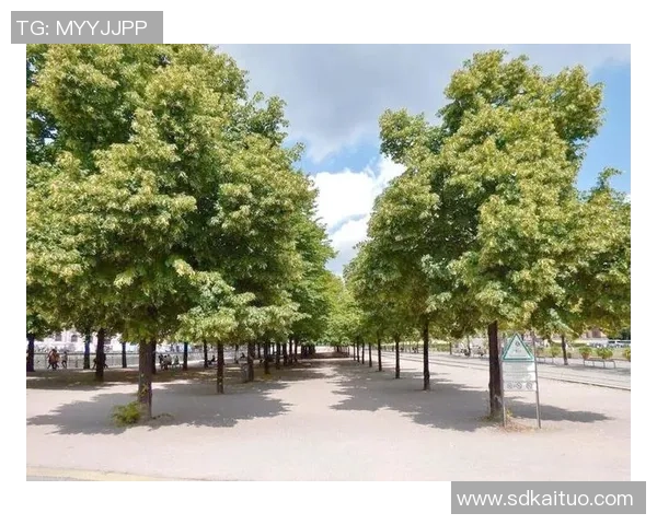 滑脆足球的魅力与技巧探秘让我们一起领略这项运动的独特风采与乐趣