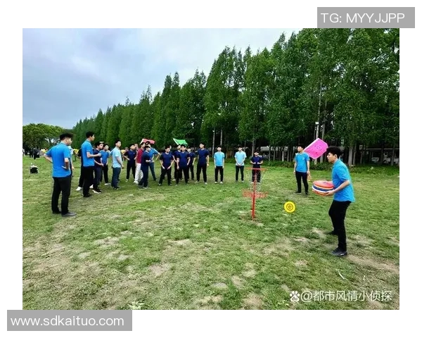 飞盘巨献：深入探讨北京飞盘队的实力与团队精神