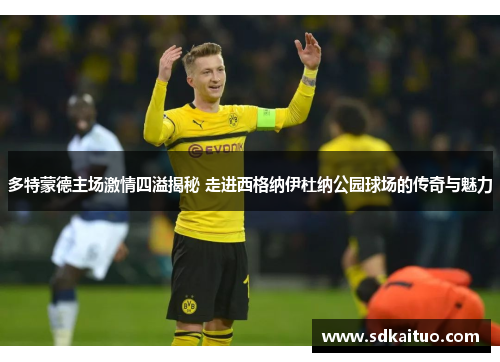 多特蒙德主场激情四溢揭秘 走进西格纳伊杜纳公园球场的传奇与魅力