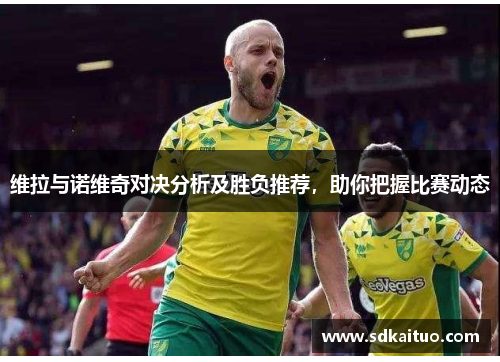 维拉与诺维奇对决分析及胜负推荐，助你把握比赛动态