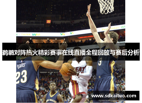 鹈鹕对阵热火精彩赛事在线直播全程回放与赛后分析