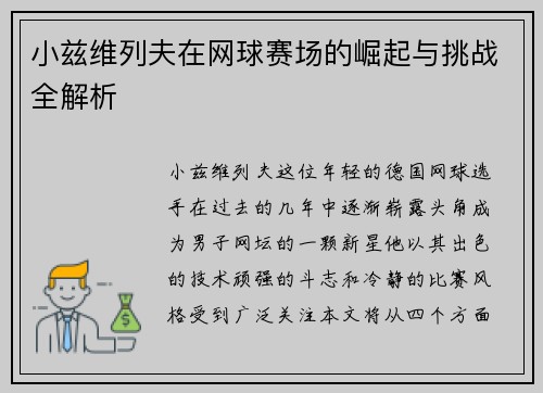 小兹维列夫在网球赛场的崛起与挑战全解析